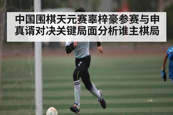 中国围棋天元赛辜梓豪参赛与申真谞对决关键局面分析谁主棋局